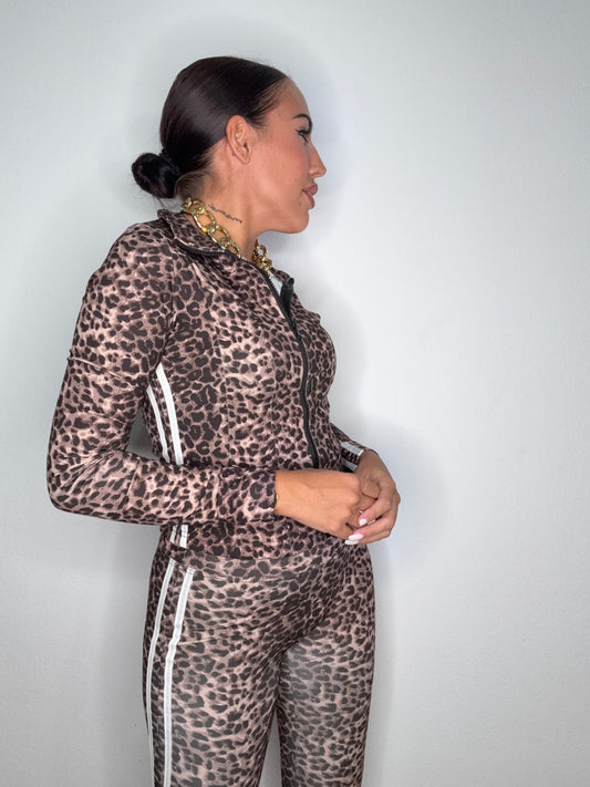 CONJUNTO DEPORTIVO ADI LEO